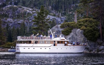 New Safari Rose Pics Preview